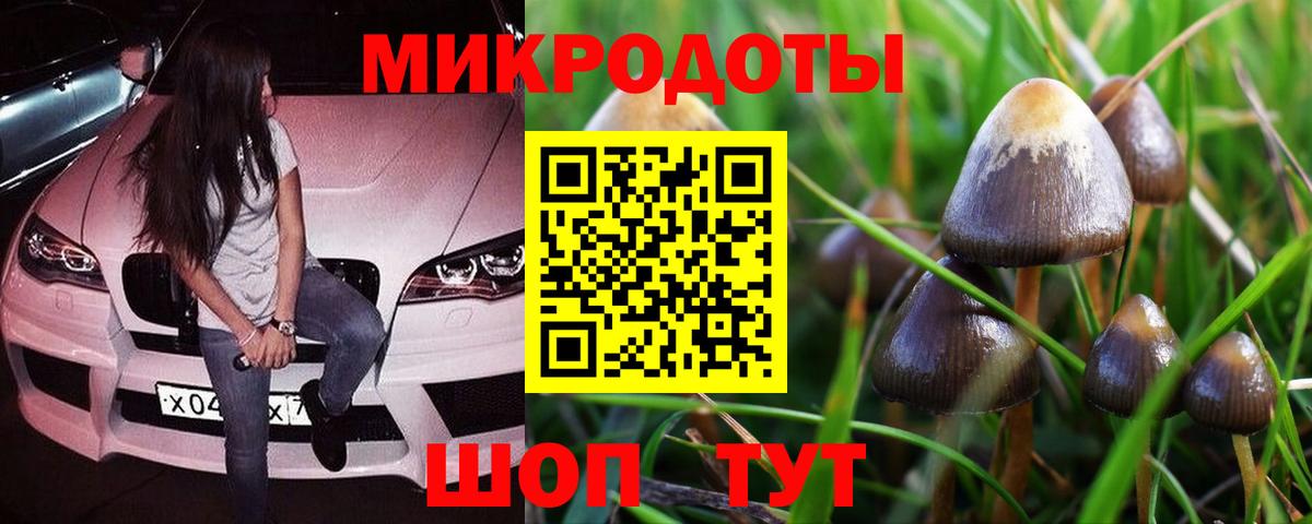 Галлюциногенные грибы GOLDEN TEACHER Стрежевой