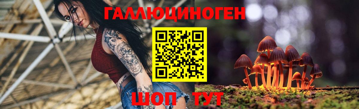 где купить   Псилоцибиновые грибы GOLDEN TEACHER  Стрежевой  Вход с VPN  Галлюциногенные грибы ЛСД 